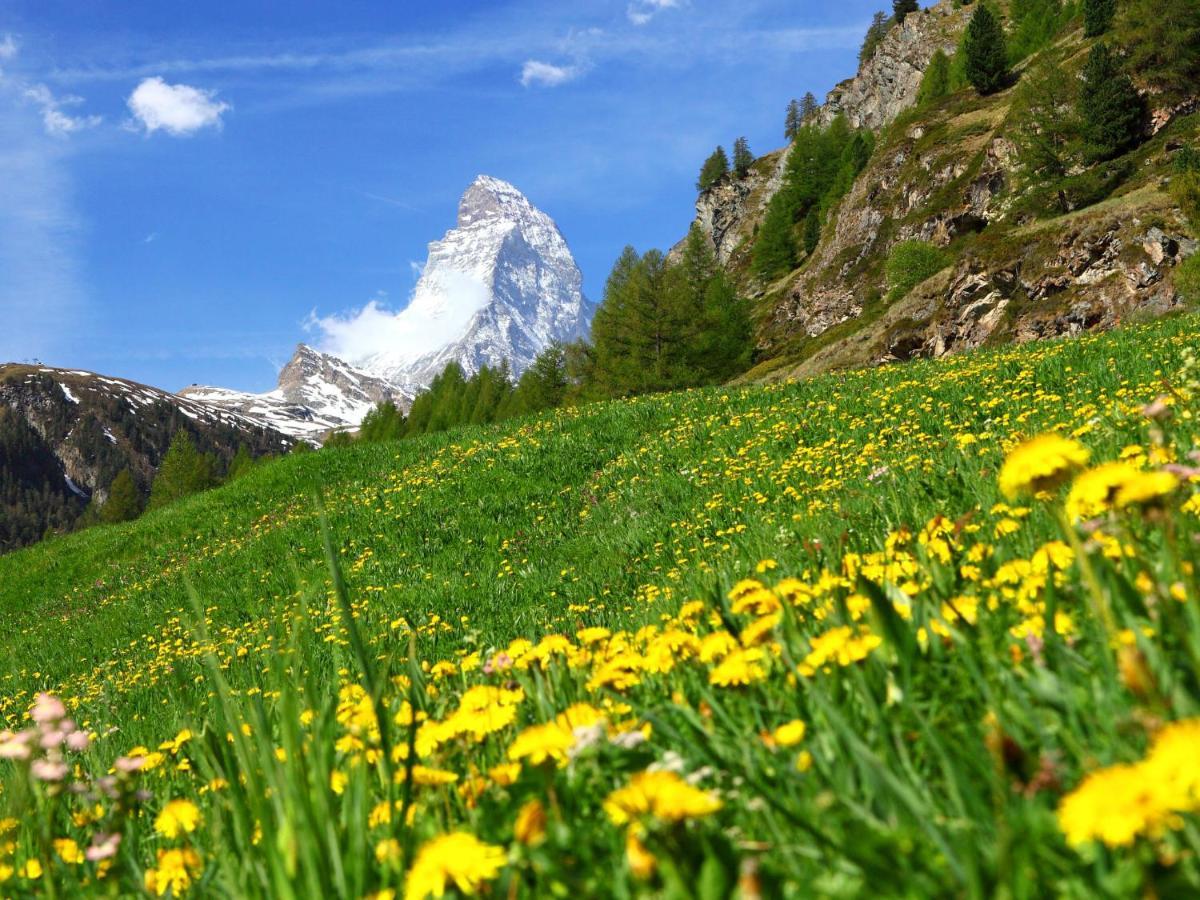 Apartment Milihaus A By Interhome Zermatt Esterno foto