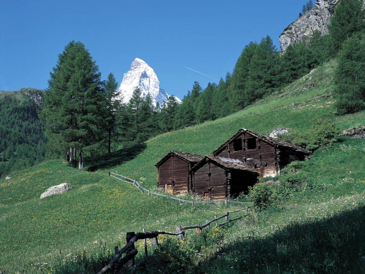 Apartment Milihaus A By Interhome Zermatt Esterno foto